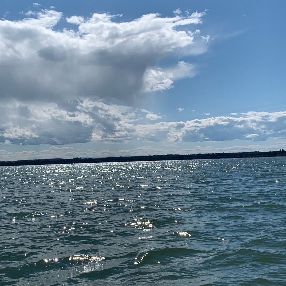 Meet your Posher, Muriel